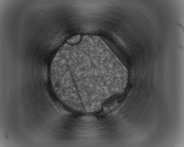 X0000092050644200710101016