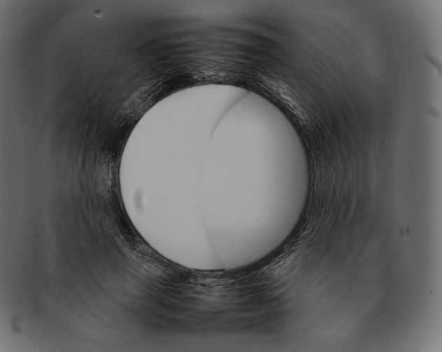 X0000092050645200710101016