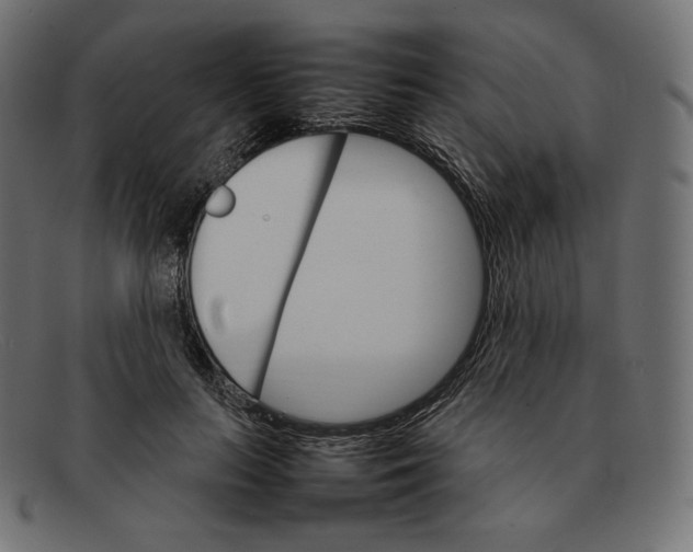 X0000092050647200710101016