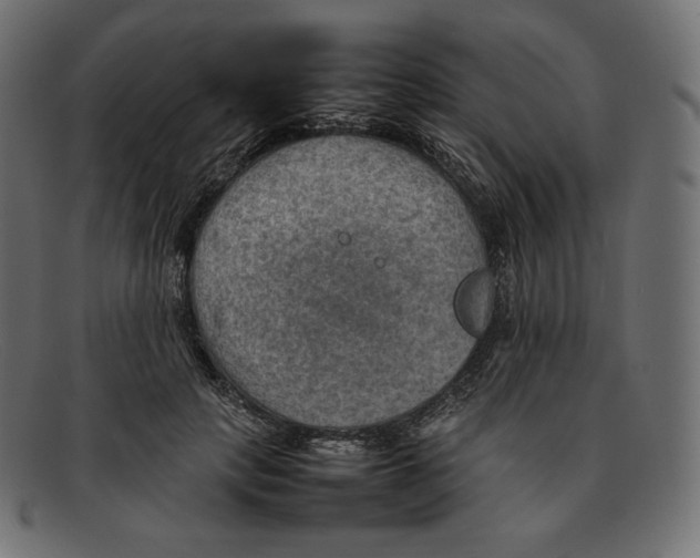 X0000092050649200710101016