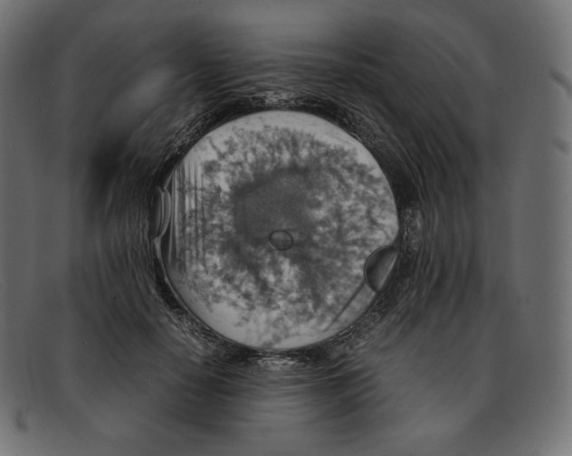 X0000092050650200710101016