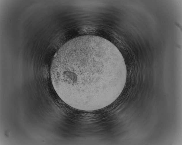 X0000092050651200710101016