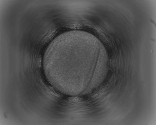 X0000092050652200710101016