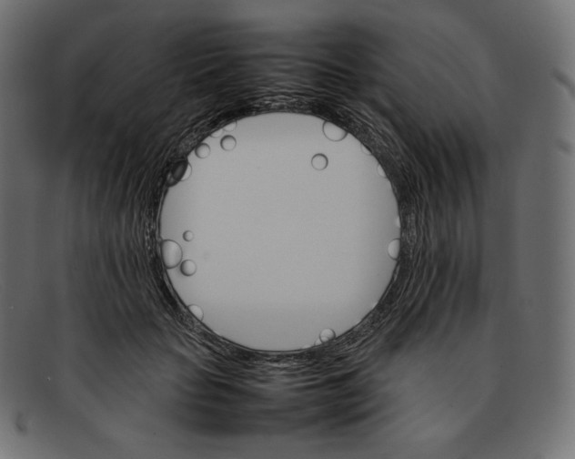 X0000092050653200710101016