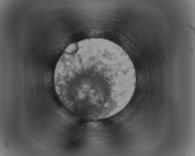 X0000092050654200710101016