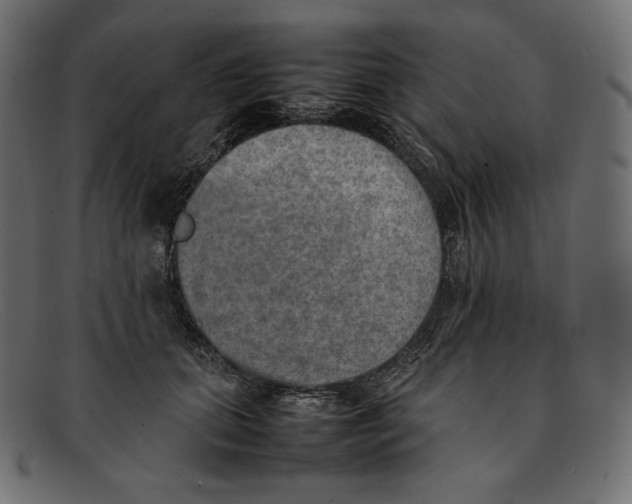 X0000092050655200710101016