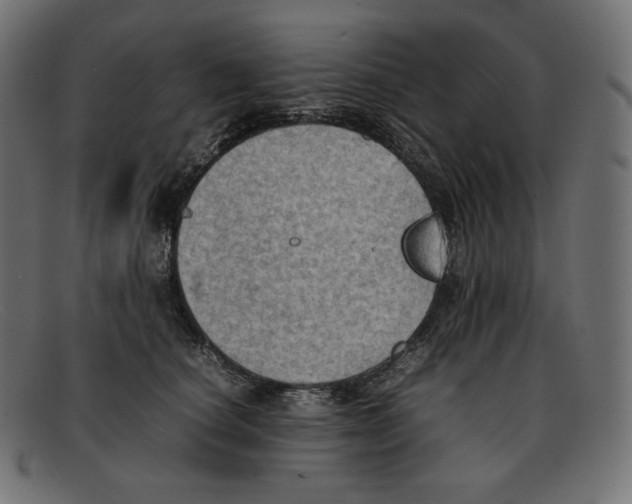 X0000092050660200710101016