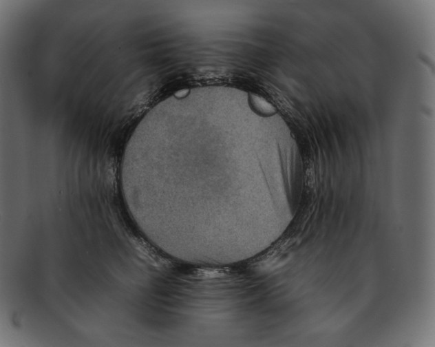 X0000092050662200710101016