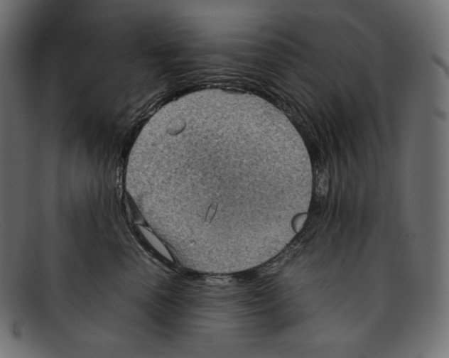 X0000092050666200710101017