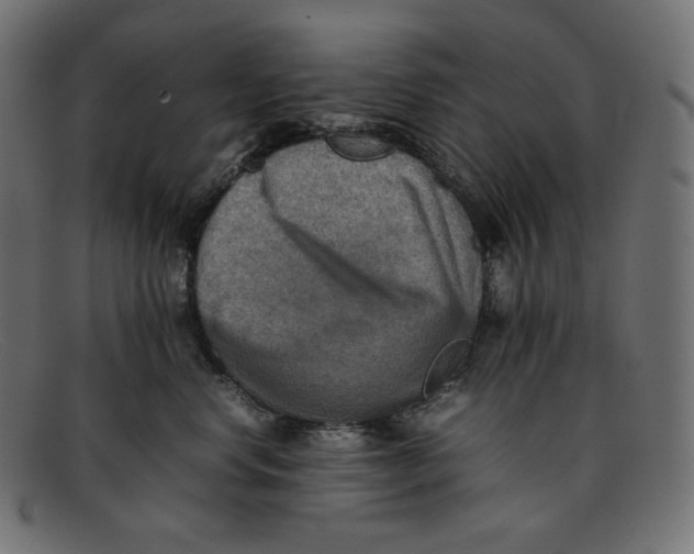 X0000092050668200710101017