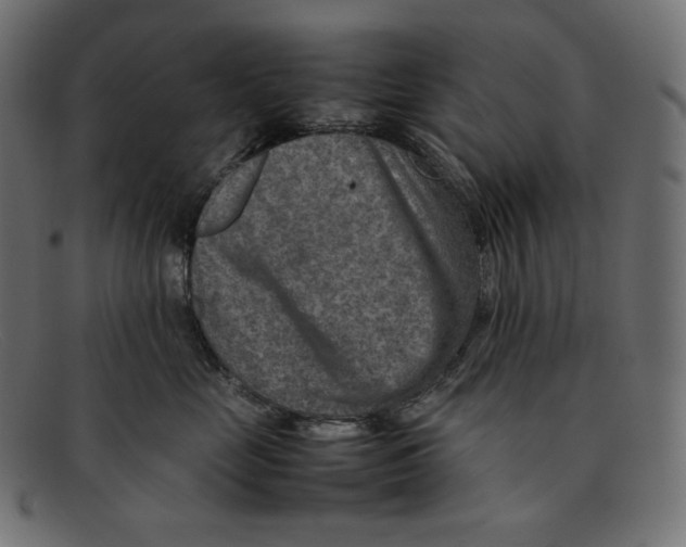 X0000092050669200710101017