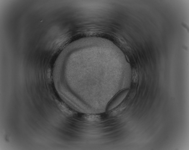 X0000092050670200710101017