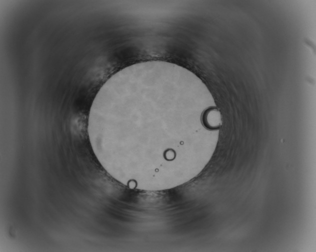 X0000092050672200710101017