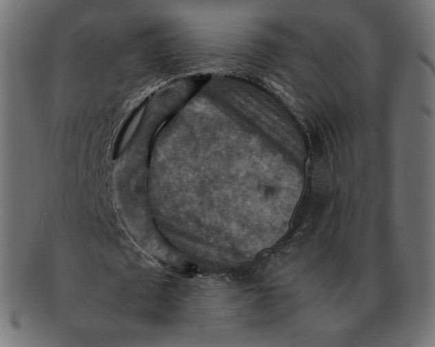 X0000092050673200710101016