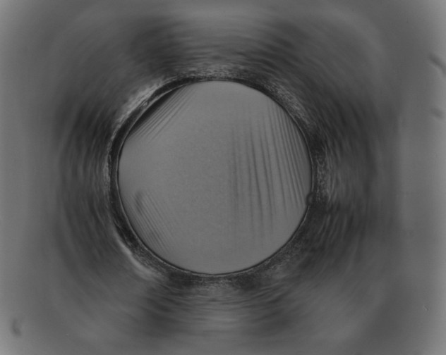 X0000092050674200710101016