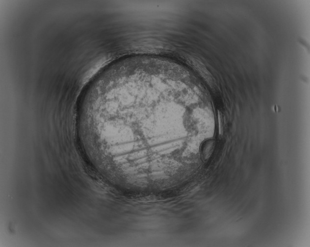 X0000092050675200710101016