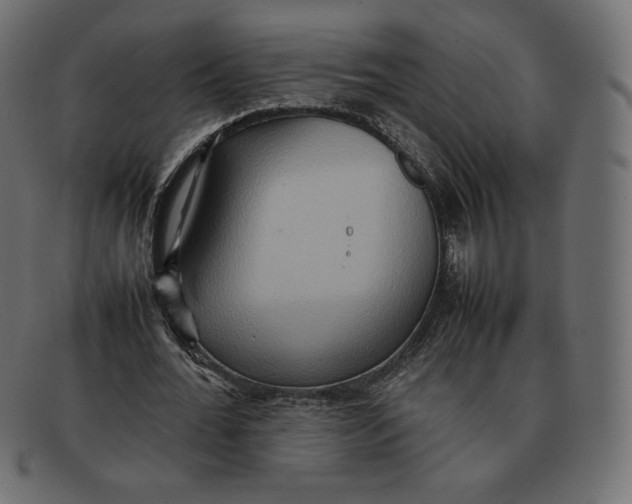 X0000092050676200710101016