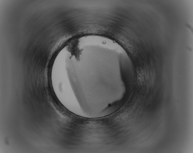 X0000092050678200710101016