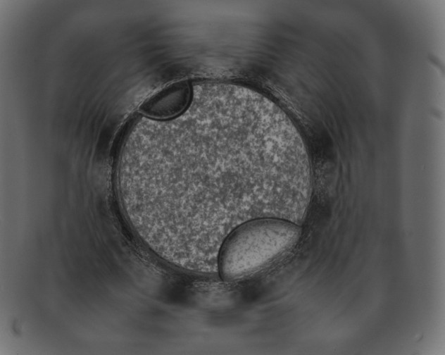 X0000092050679200710101016