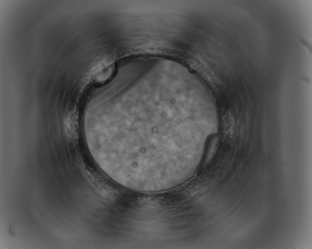 X0000092050680200710101016