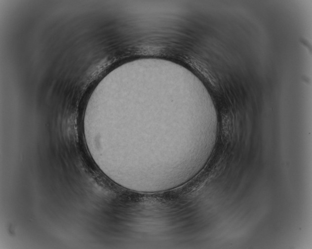 X0000092050682200710101016