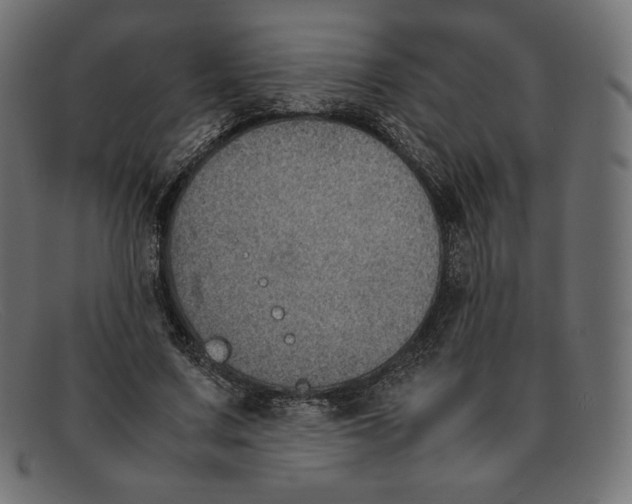 X0000092050683200710101016