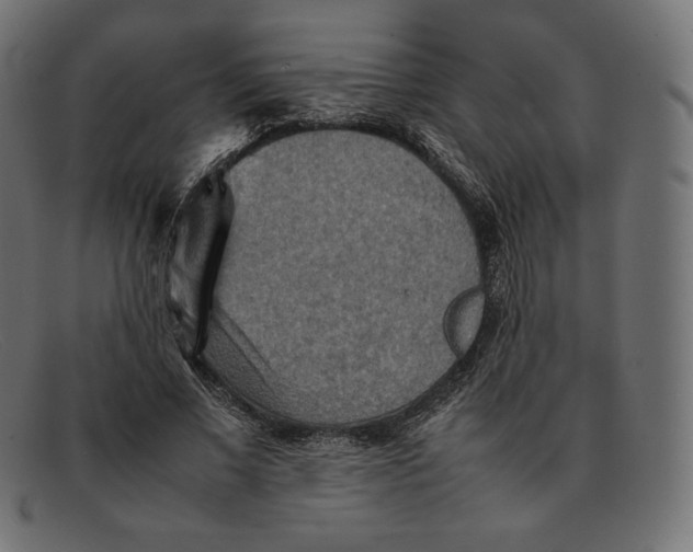 X0000092050685200710101016