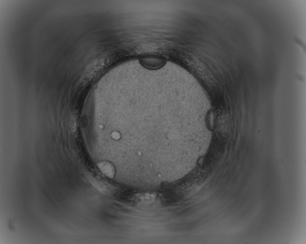 X0000092050687200710101016