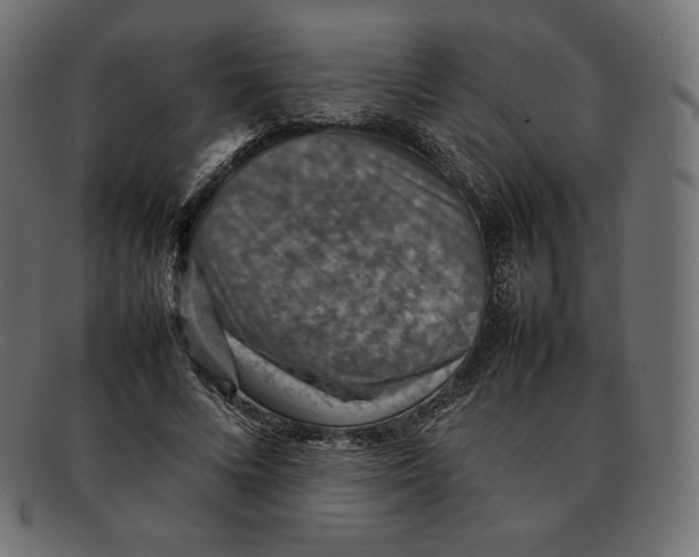 X0000092050688200710101016