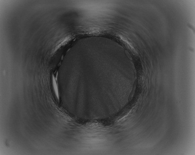 X0000092050689200710101016