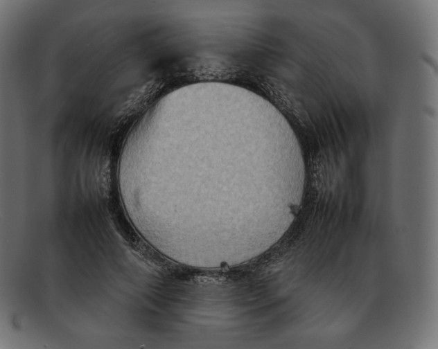 X0000092050690200710101016