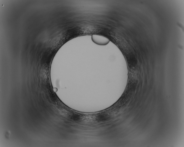 X0000092050691200710101016