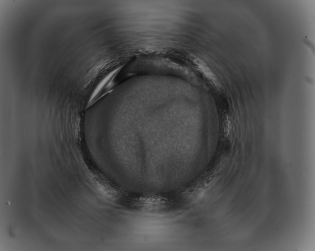 X0000092050693200710101016