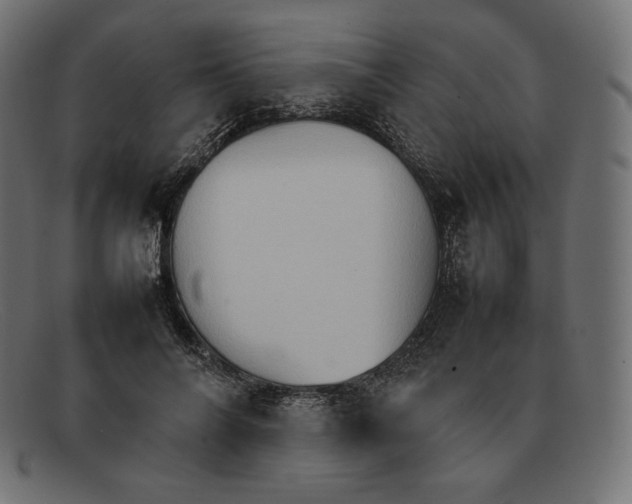 X0000092050694200710101016