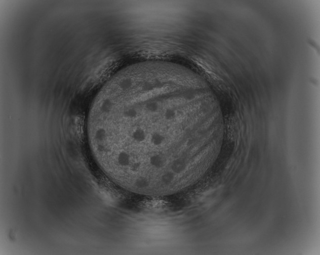 X0000092050695200710101016