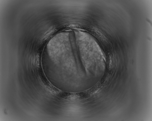 X0000092050696200710101016