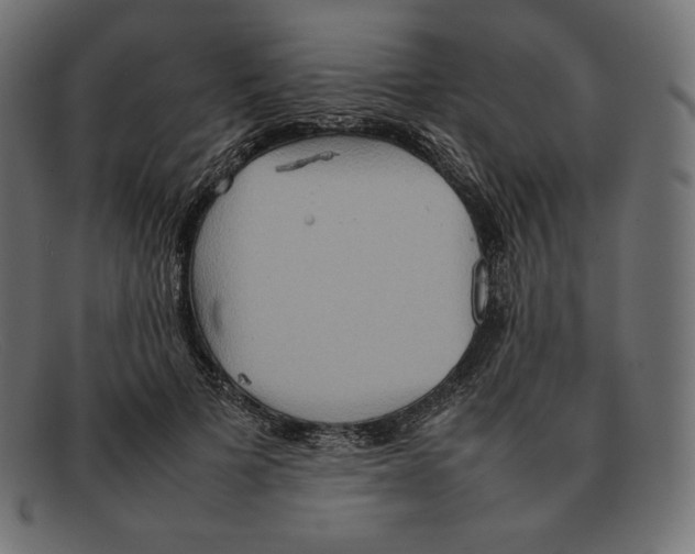 X0000092050697200710101016