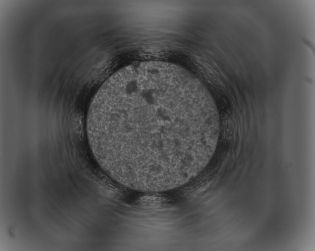 X0000092050699200710101016