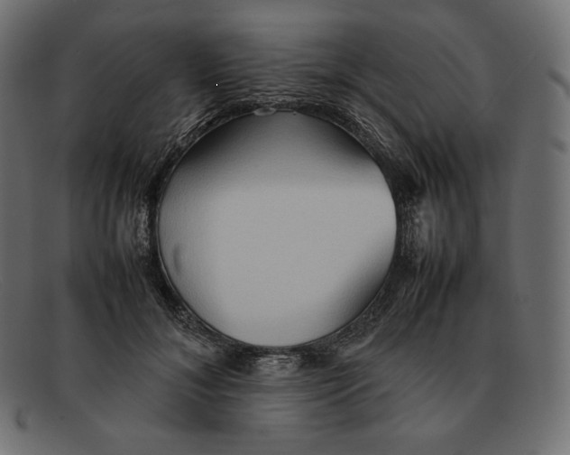 X0000092050700200710101016