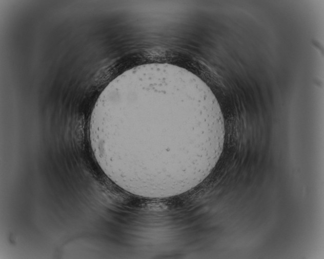 X0000092050702200710101016