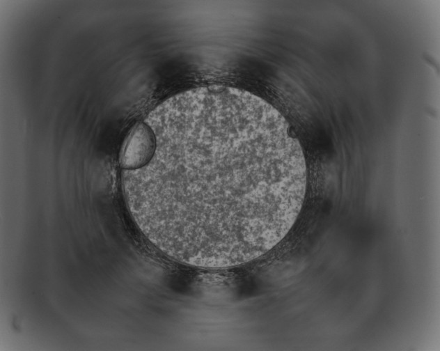 X0000092050703200710101016