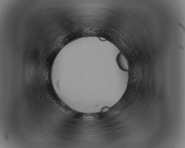 X0000092050706200710101016