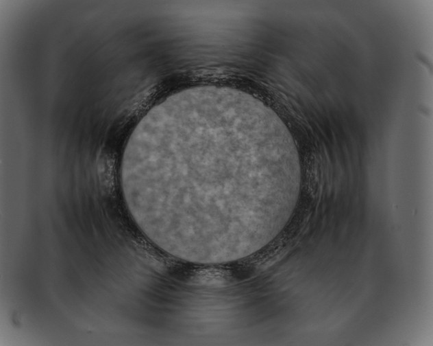 X0000092050708200710101016