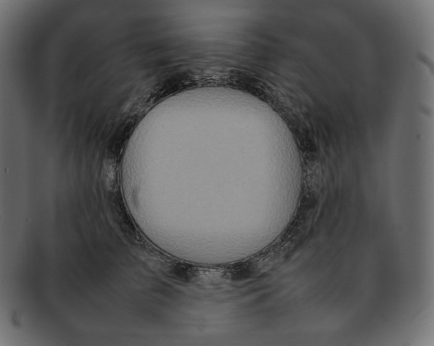 X0000092050709200710101016