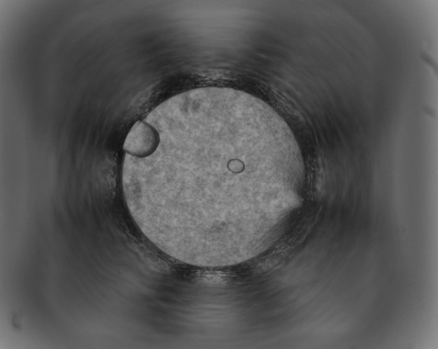 X0000092050710200710101016