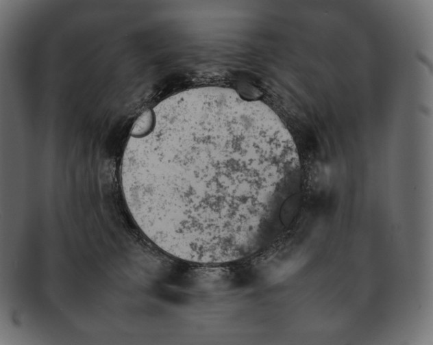 X0000092050711200710101016