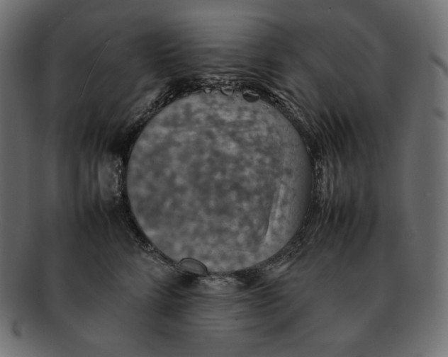 X0000092050712200710101016