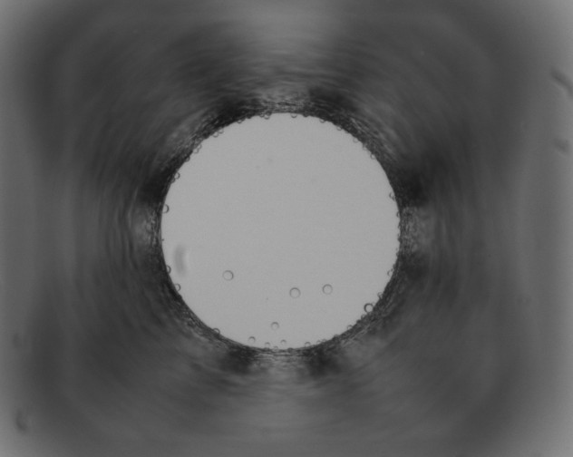 X0000092050713200710101016