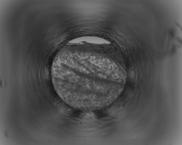 X0000092050715200710101016