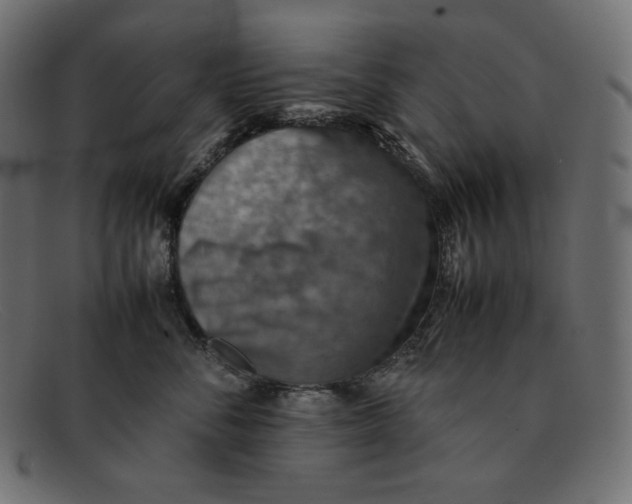 X0000092050716200710101016